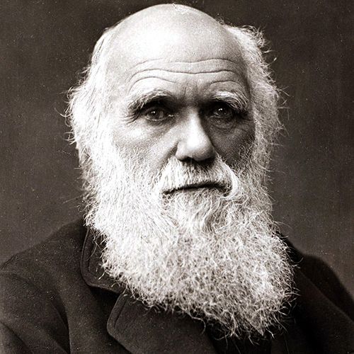 Charles Darwin Shapero Rare Books