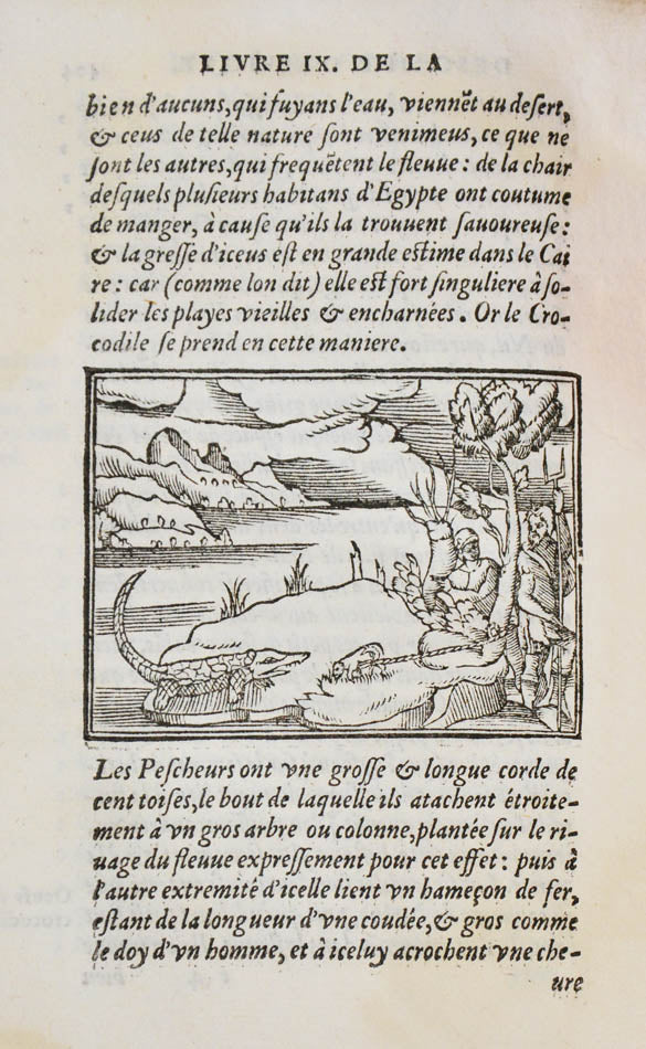 The first book on Africa written by an African. The woodcuts include personifications of Africa, Arabia, Egypt, Alexandria and the Nile.