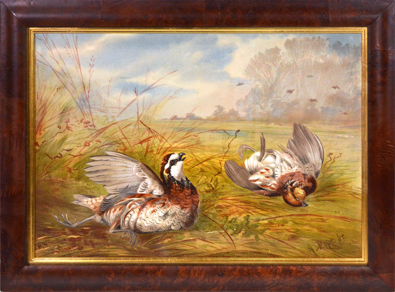 Chromolithograph of Quail by Alexander Pope Jr, laid on to contemporary card, Charles Scribner's Sons, New York, 1878.