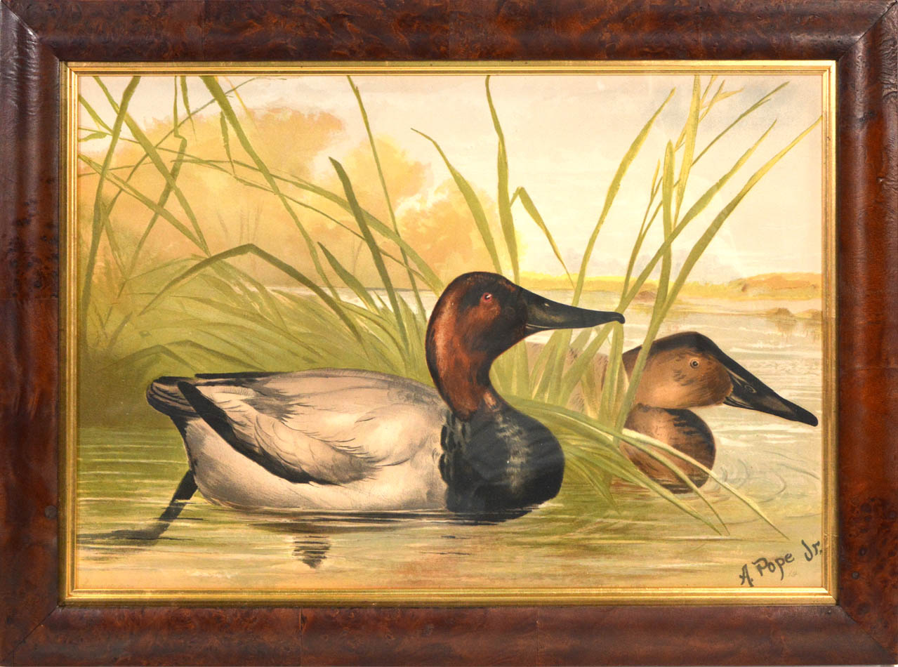 Chromolithograph of a pair of ducks by Alexander Pope, laid on to contemporary card, by Charles Scribner's Sons, New York