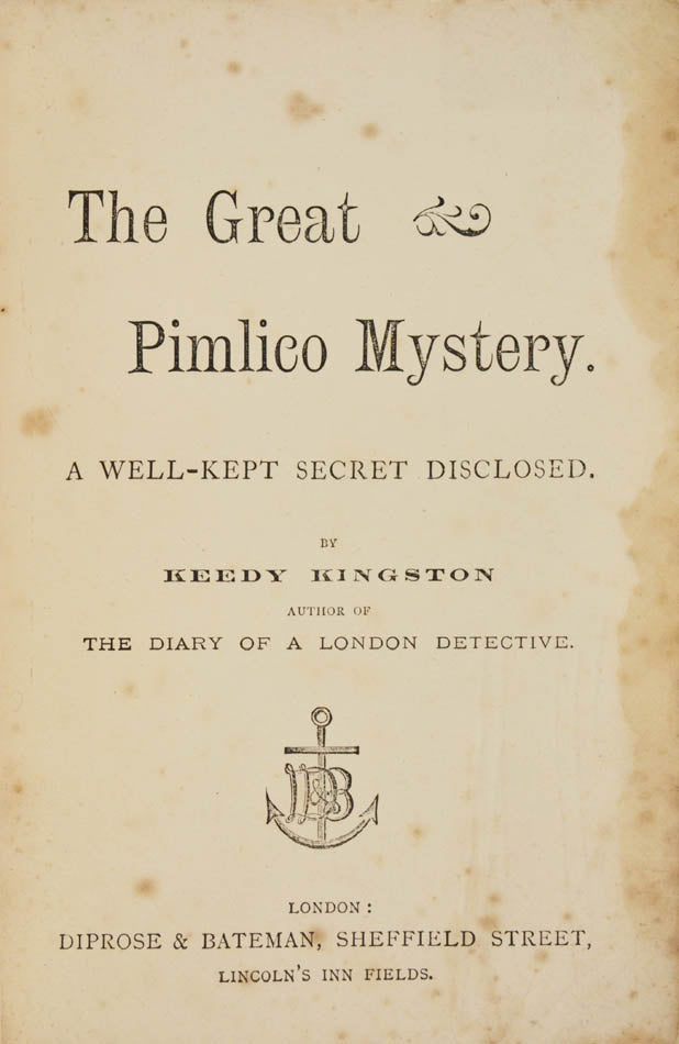 A remarkably scarce example of Victorian detective fiction, not in the British Library, and with only one copy we could trace in other holdings.