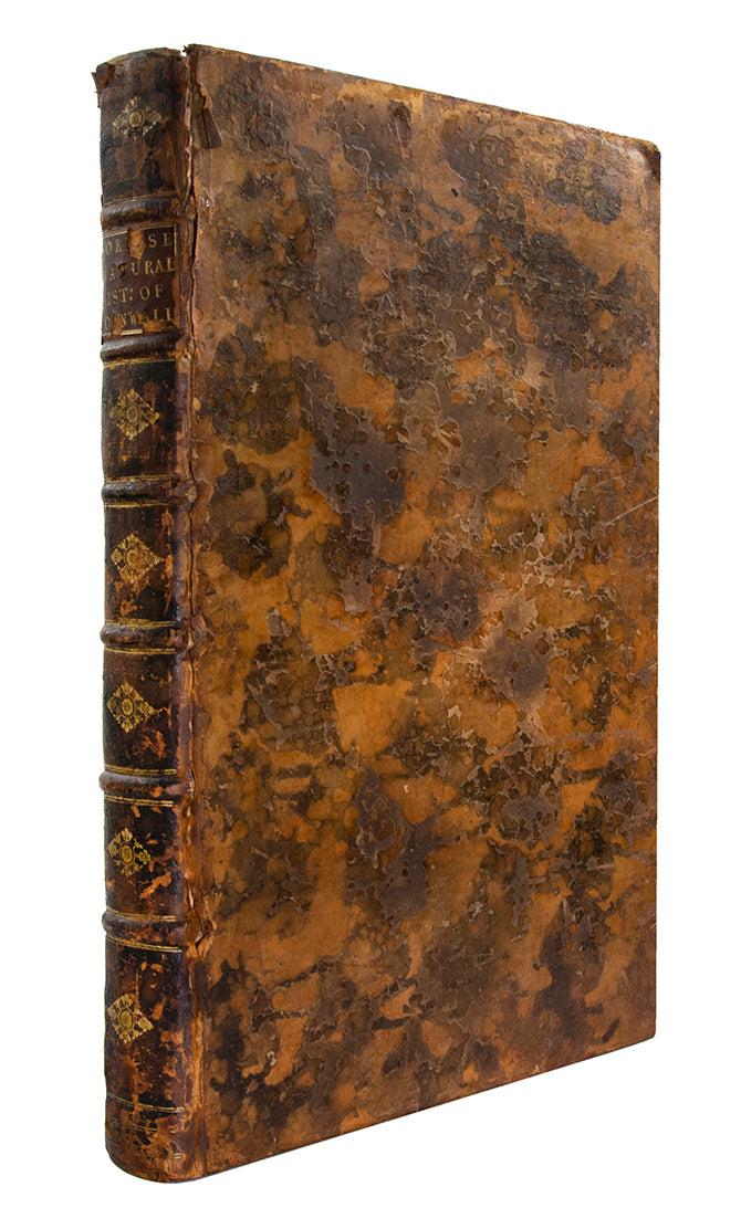 The book is notable for including a chapter on includes a chapter on the native language.