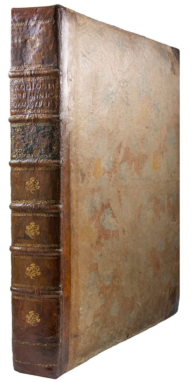 The first coloured illustrations of birds in a book which attempted to list and portray all of the British species, many of them life-size.