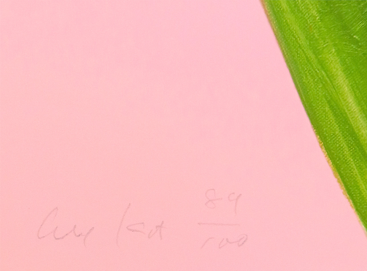 Alex Katz, Purple Tulips 1, from edition of 100, 2021, on Innova Etching Cotton Rag paper, signed in pencil, archival pigment print