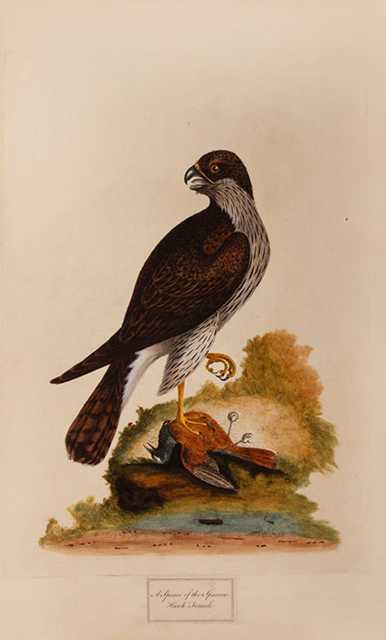 Containing 40 finely coloured plates, mostly hand signed by Hayes himself.