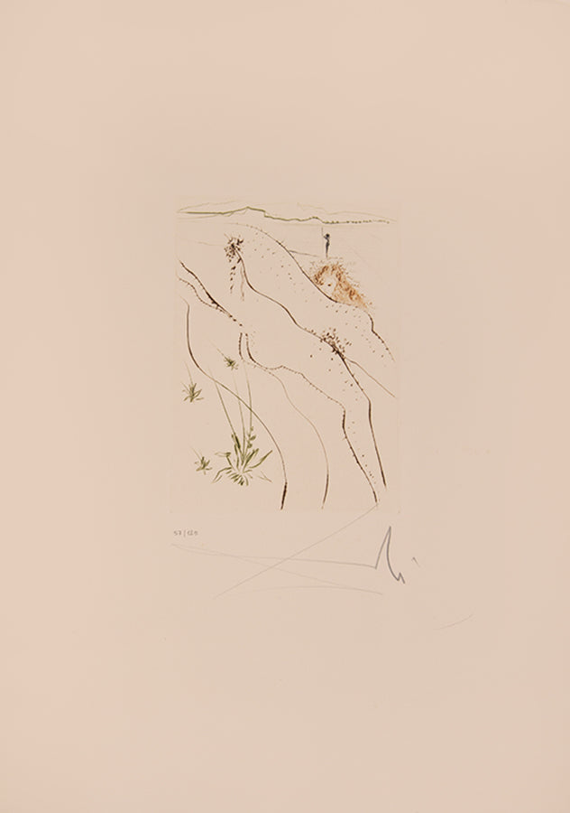 An excellent example of the complete portfolio of Boccacio's Decameron illustrated by Salvador Dali, each plate numbered 57/150 and signed by Dali.