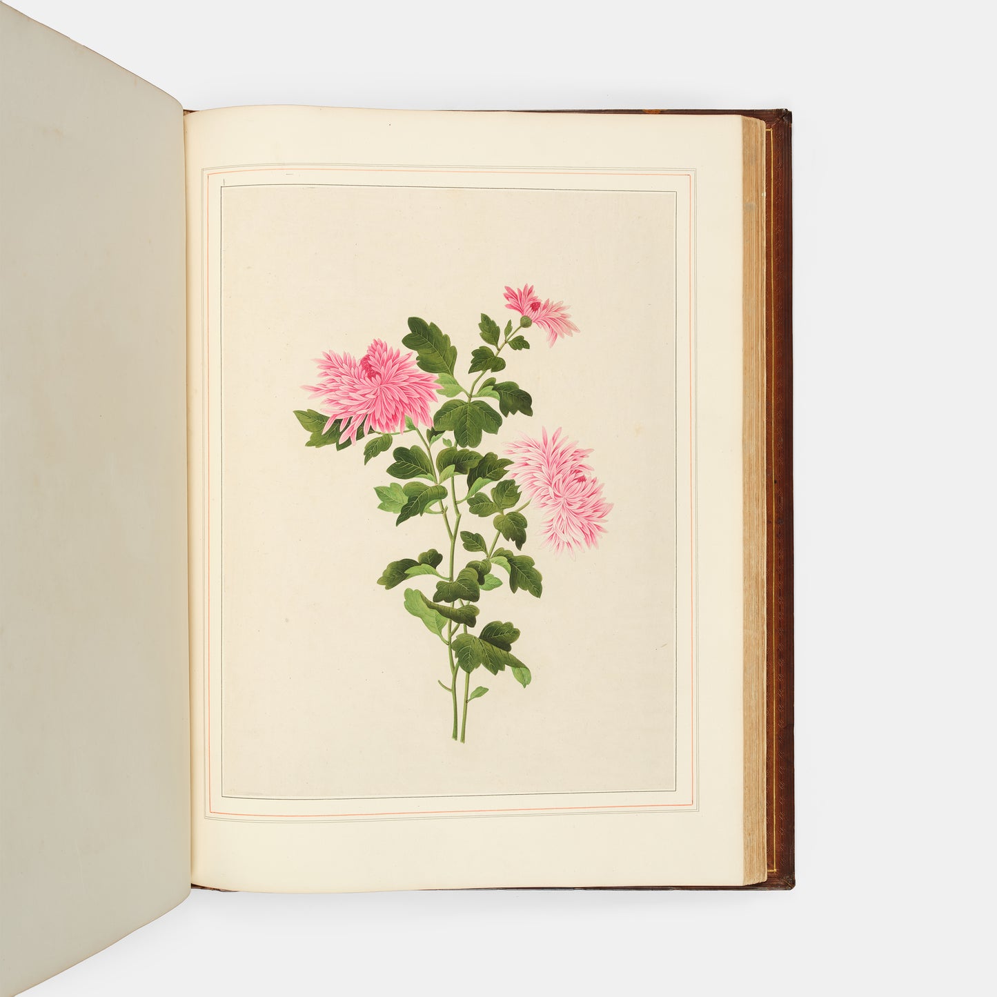 A sumptuous collection of 244 mounted watercolours depicting Chinese silkworm cultivation, birds, Asian fruits and flowers, exlibris Duke of Marlborough.