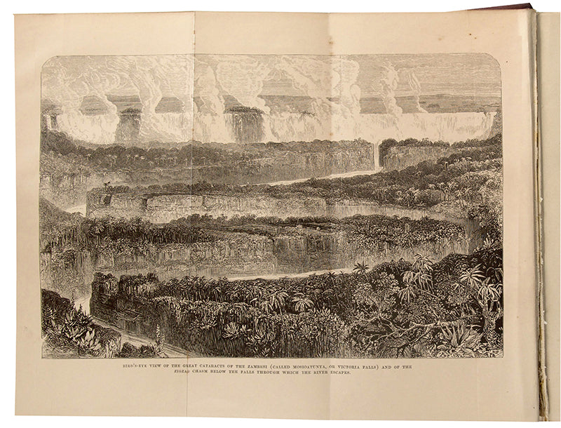 An expedition to expose the Portuguese slave traders and to find a way to establish a settlement for missions and commerce near the head of the Rovuma.