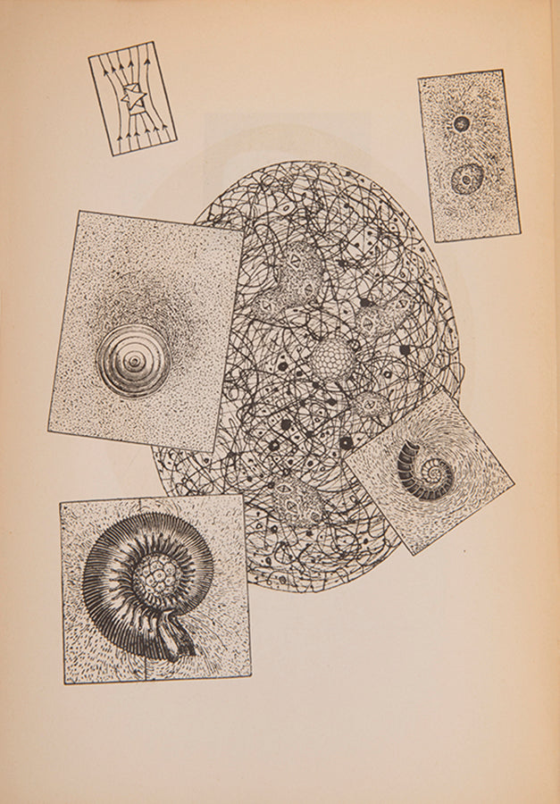 Limited edition of Max Ernst by Joe Bousquet and Michel Tapie, inscribed by Max Ernst and Dorothea Tanning.