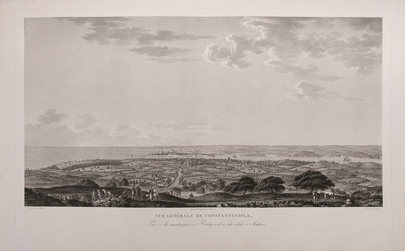 Vue Generale de Constantinople,
