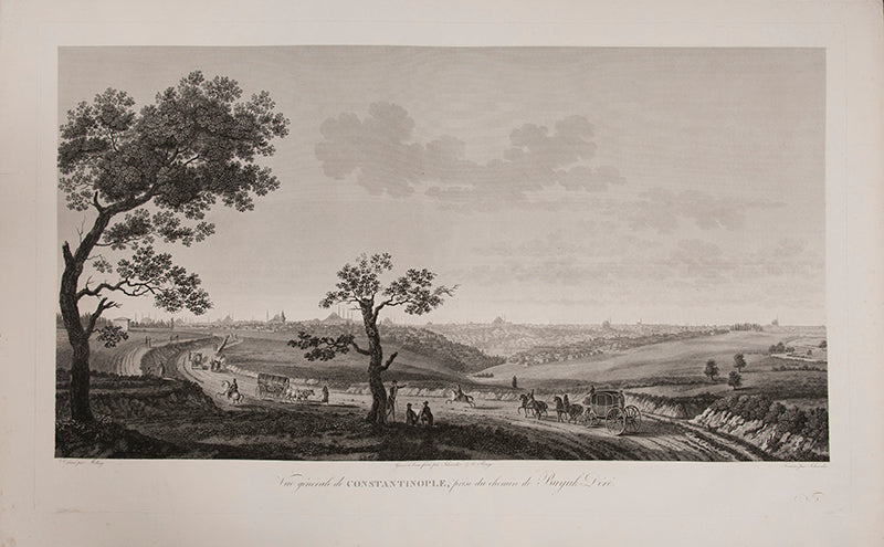 Vue Generale de Constantinople,