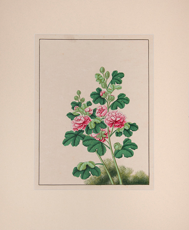 Fine, well executed, decorative Chinese export watercolour of flowers, produced in China in the mid 19th century.