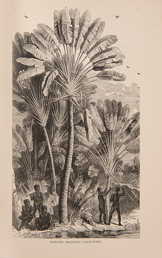 Fanny Guinness believed that it was important to know more about Central Africa in order to better understand it.