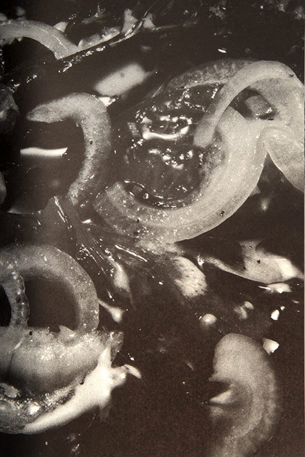 Araki made this book as a tribute to his late wife, Yoko. The first section contains a selection of colour food photographs made for magazines and on other commercial assignments, and the second is a black-and-white photo diary of the last meals he and Yoko ate together.