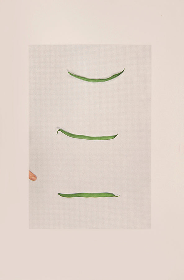 An exhibited copy of this highlight among 1970s conceptual artists' books. In the introduction, John Baldessari explains that Choosing Green Beans documents a game devised for two players.