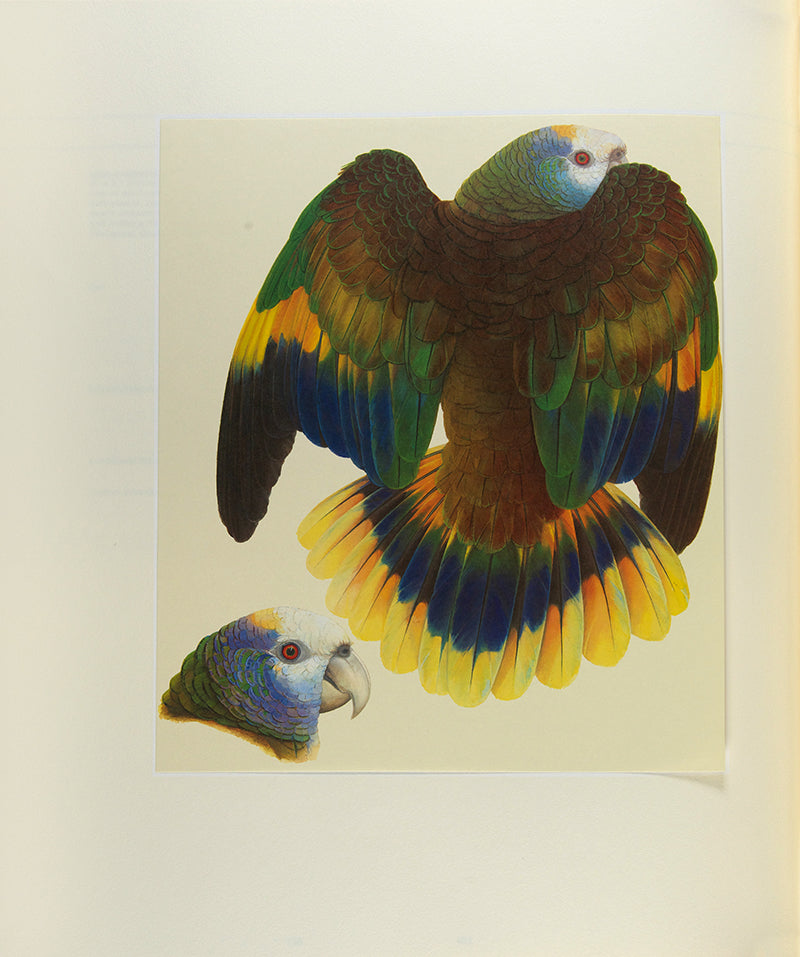 A signed limited edition copy of Elizabeth Butterworth's Amazon Parrots, illustrated with 28 colourplates and an original watercolour, bound in publisher's crushed red morocco.
