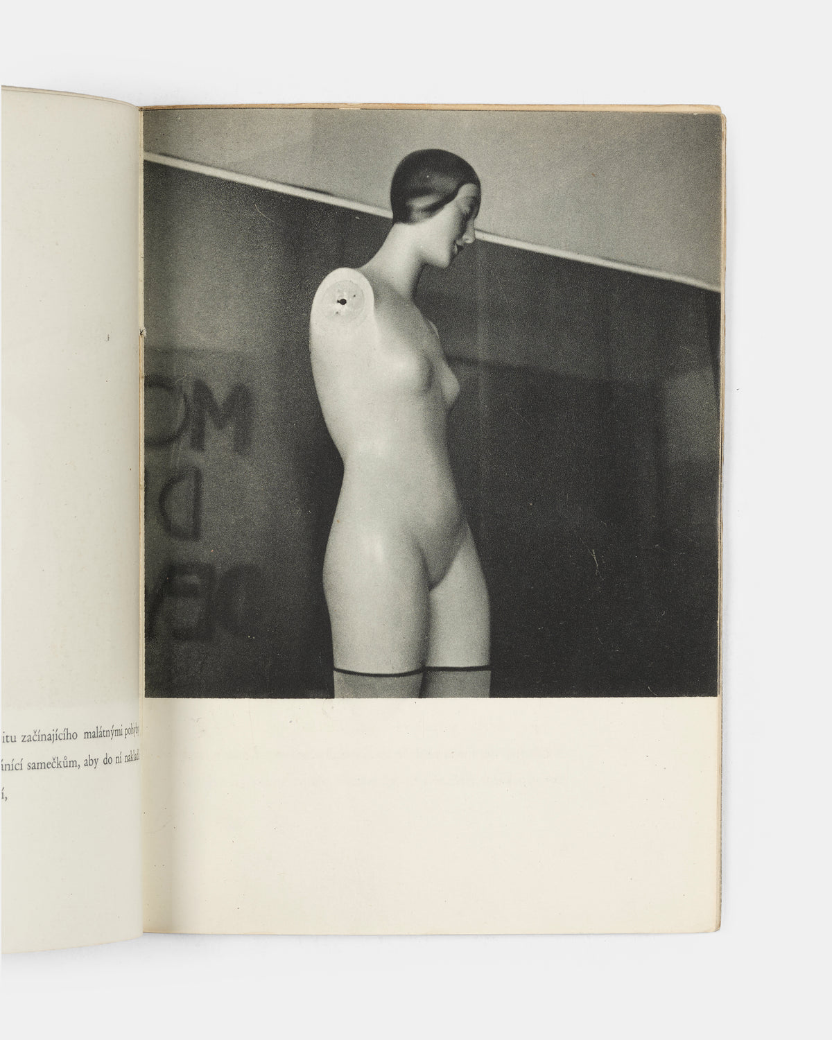 First edition thus of this meditation on resistance, after the scarce original clandestine version with gelatin silver photographs produced by the artists in a small number of copies during the Nazi occupation of Czechoslovakia.