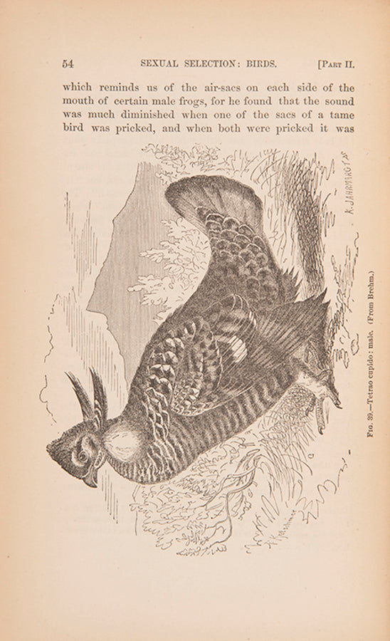 The first US edition of Darwin's The Descent of Man