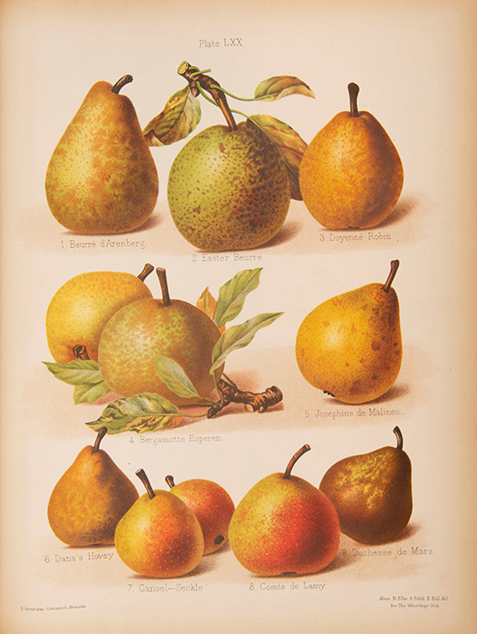 The Herefordshire Pomona is a classic in the science and practice of pomology.