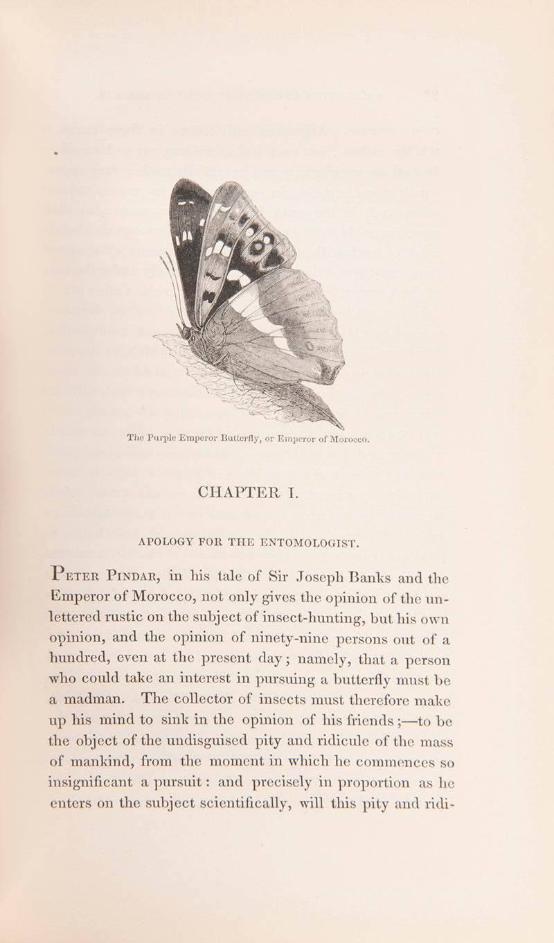 Edward Newman's Familiar Introduction to the History of Insects, second, expanded, edition of his Grammar of Entomology, handsomely bound