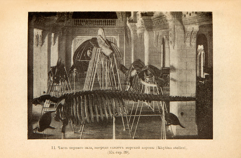 Fifth edition of this rare guide to the Leningrad (St. Petersburg) Zoological Museum featuring the museum's wooly mammoth specimen on the cover.