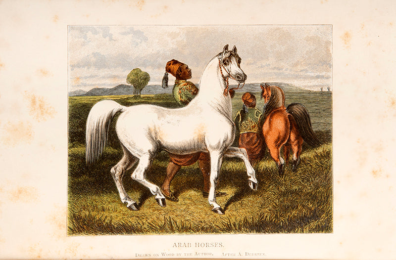 First edition of Newmarket & Arabia by Roger D. Upton.