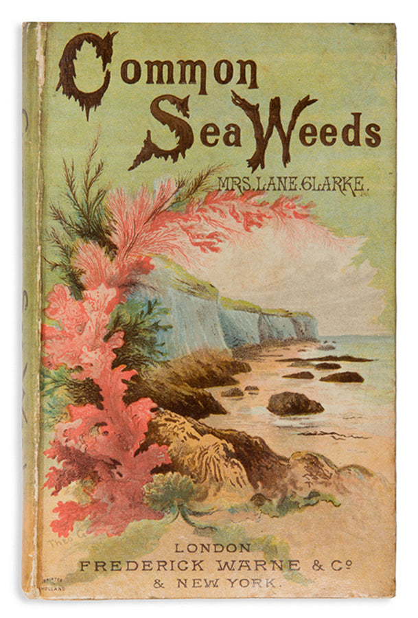 Second edition of Louisa Lane Clarke's Common Seaweeds of the British Coast, a lovely copy in the original colour pictorial binding, published in 1881.