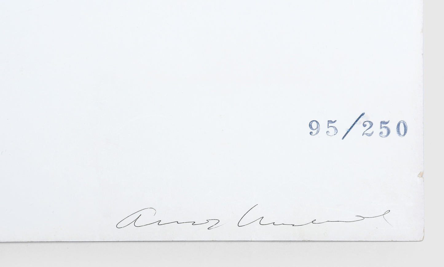 Andy Warhol, Cheddar Cheese, 1969, screenprint, signed by the artist, from the edition of 250, on wove paper