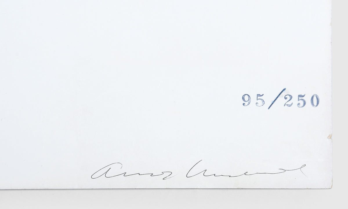 Andy Warhol, Cheddar Cheese, 1969, screenprint, signed by the artist, from the edition of 250, on wove paper