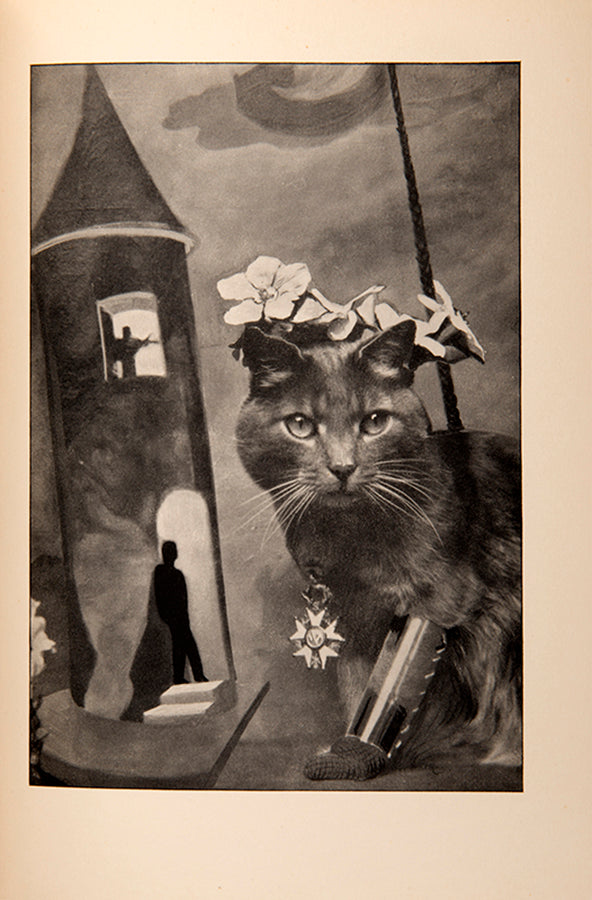Lise Deharme and Claude Cahun envisioned Le Coeur de Pic as a cohesive artwork. Cahun's photographs brought inanimate objects to life and encouraged older viewers to see the world through a child's perspective.