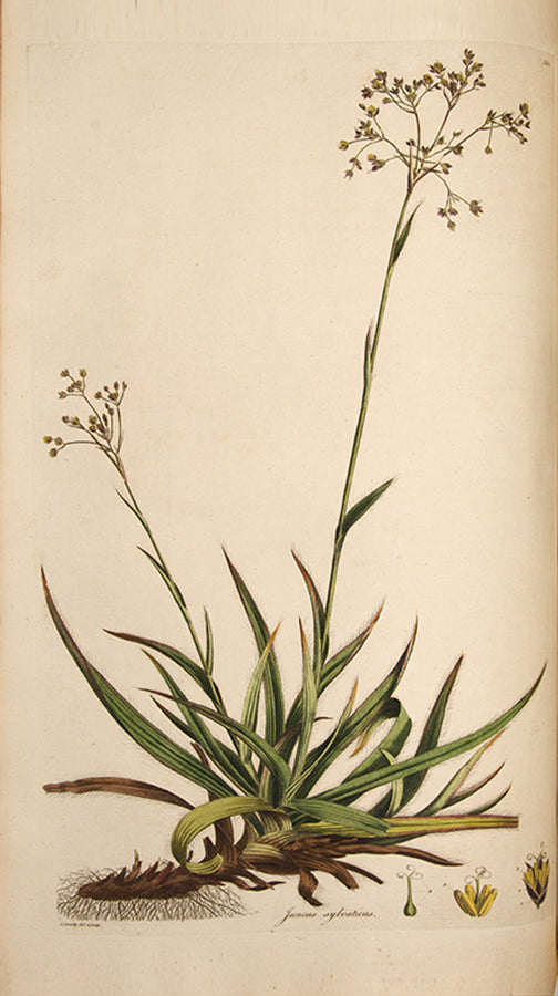 First edition with variant title page of Curtis's Flora Londinensis, the earliest English flora with coloured plates in any way approaching comprehensive.