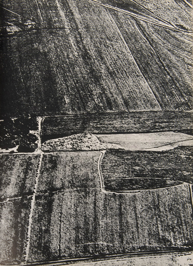 Maria Bonomi occupies a central role in contemporary Brazilian art as a pioneer in abstract wood engraving.