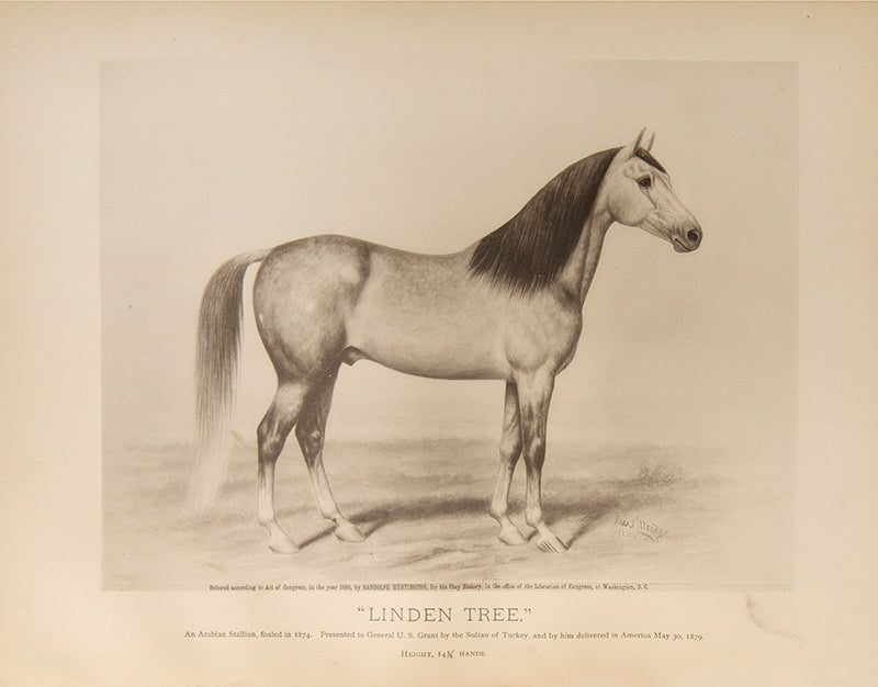 First edition of Randolph Huntington's History in Brief of "Leopard" and "Linden," General Grant's Arabian Stallions, the first Arabian horses to breed in North America.