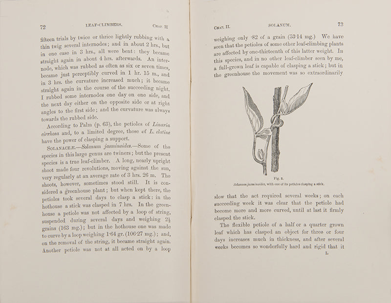 A handsomely bound reissue of Charles Darwin's The Movememts and Habits of Climbing Plants.