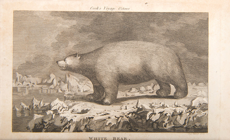 The first octavo edition of James Cook's Third voyage, A Voyage to the Pacific Ocean, in a lovely contemporary tree calf binding.