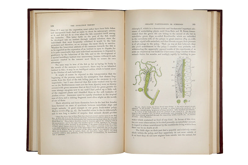 First English language edition of biologist Albert Weismann's The Evolution Theory, an important early work on genetics published in 1904.