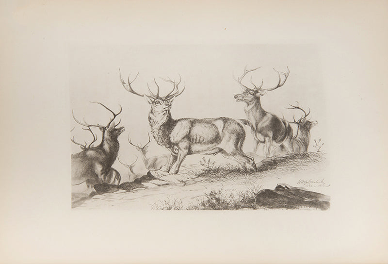 A handsome copy of William Bromley-Davenport's Sport, an illustrated classic, handsomely bound in red morocco gilt