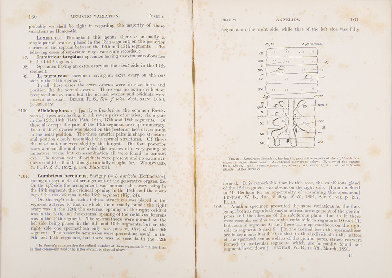 First edition of William Bateson's Materials for the Study of Variation, his most important book published before he became a founder of genetics.