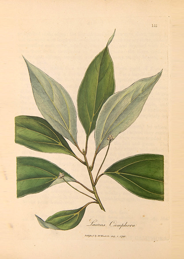 A handsomely bound set of the first edition of Medical Botany by physician William Woodville, with the first supplement, published between 1790 and 1794.