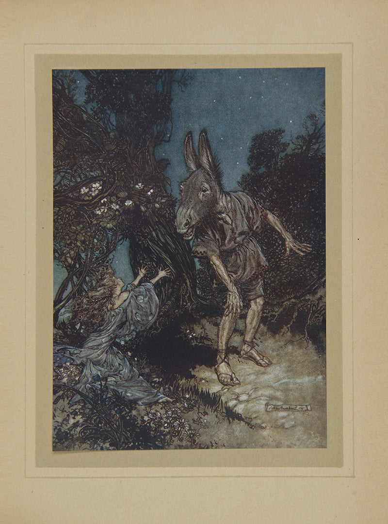 The first Arthur Rackham trade edition of this publication of Shakespeare's A Midsummer Night's Dream published in London in 1908.