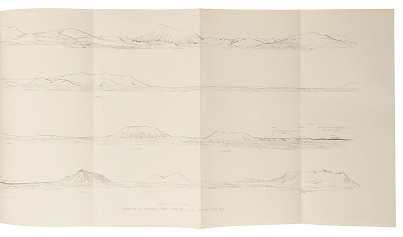First edition of Travels in Arabia Deserta by Charles Doughty, a classic of exploration of Arabia which contains so much information on the topography of the area that it was used as a textbook by the British army during the Arab Revolt.