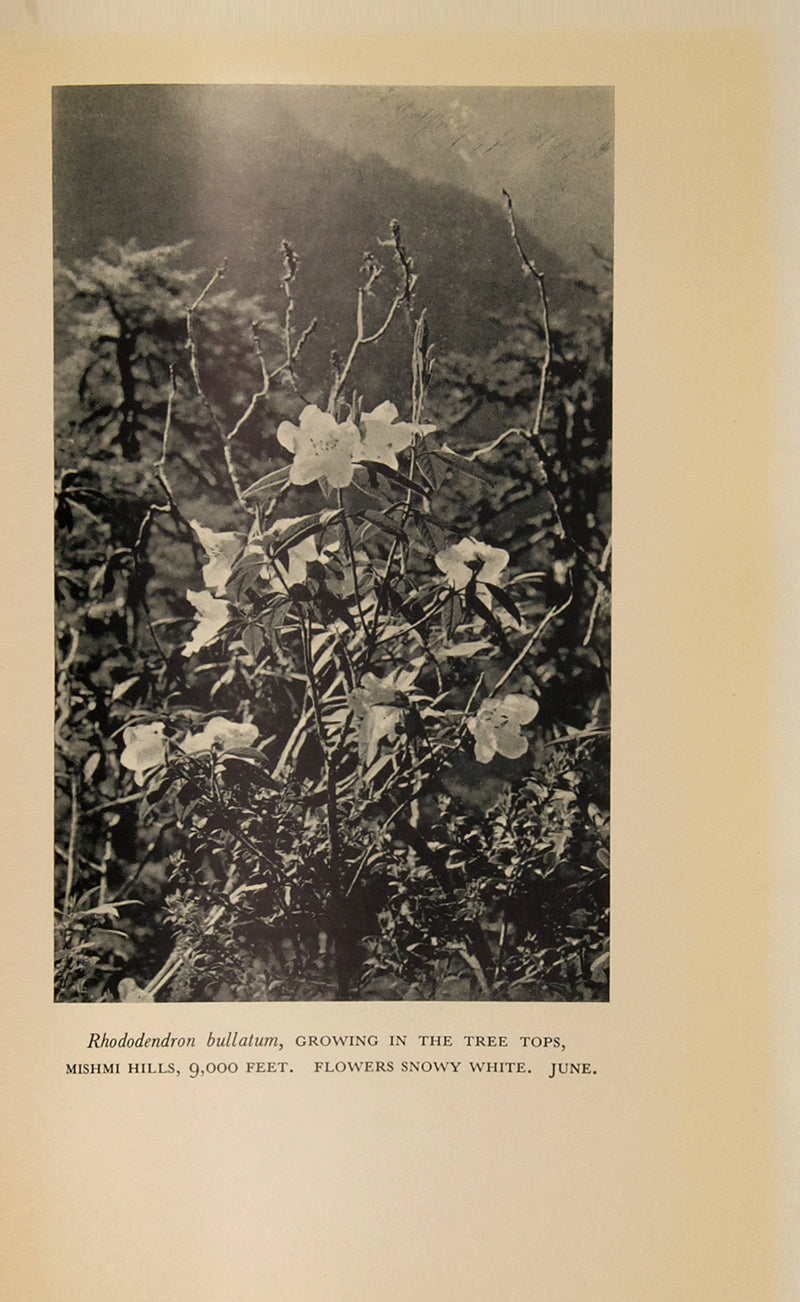 First edition of Plant Hunting on the Edge of the World by botanist F. Kingdon-Ward, with the dust jacket, published in 1930.