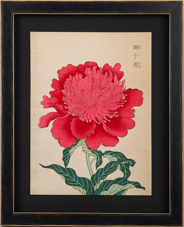Japanese woodblock print of an anemone-flowered cardinal red peony.