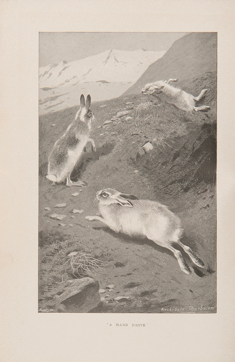 The Hare, The Rabbit and The Partridge, three volumes in the publisher's original oatmeal cloth, from the Fur, Feather and Fin series