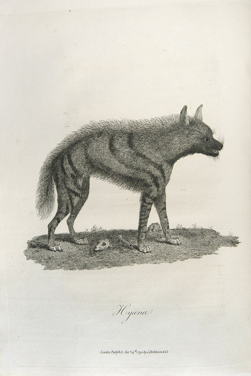 First edition of James Bruce's Travels to Discover the Source of the Nile, a fine set with remarkably clean and bright plates.