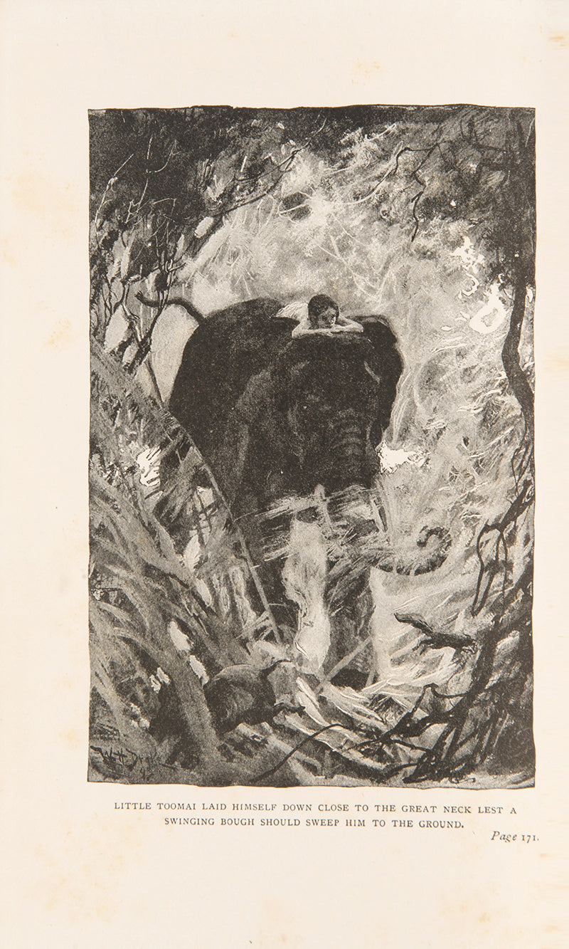 An attractive set of early editions of Kipling's The Jungle Book and The Second Jungle Book, his best known collection of stories.
