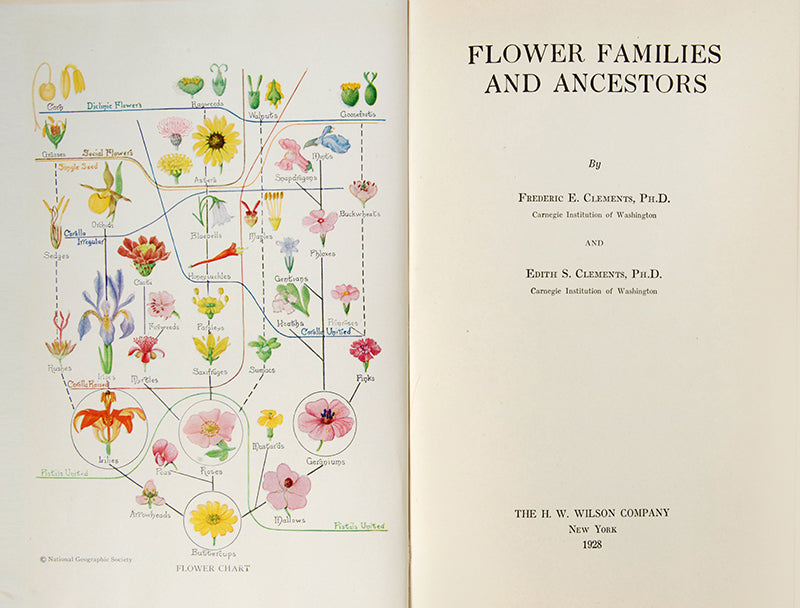 A first edition copy of Flower Families and Their Ancestors in the attractive original floral binding.
