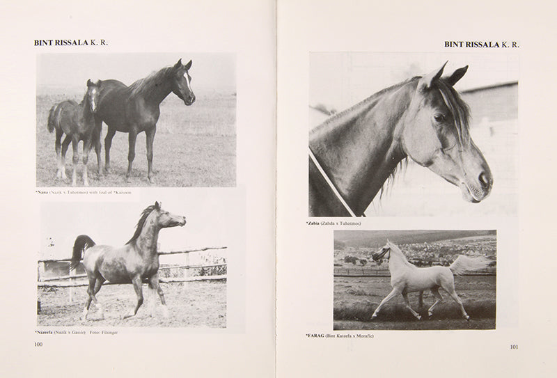 First edition of Arabian Horses of El Zahraa by Erwin Piduch, a scarce work on the Arabian horses in the Egyptian stud 'El Zahraa' with their pedigrees and descendants.