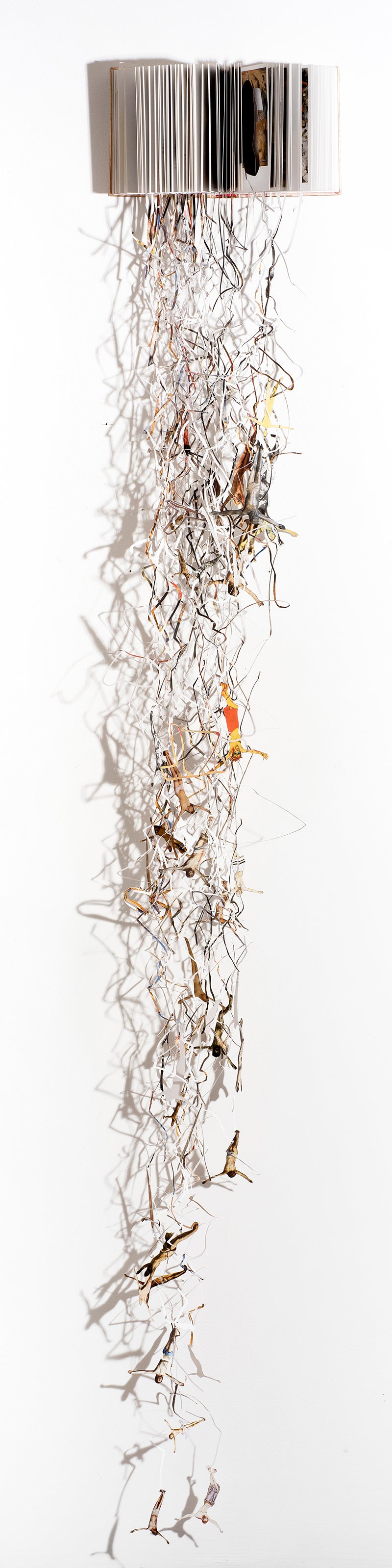 Cut book in an acrylic case by Jack Milroy, titled DIVinE