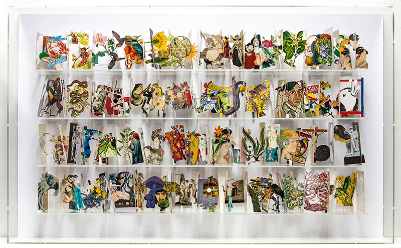 Cut postcards in an acrylic case by Jack Milroy, titled Species.